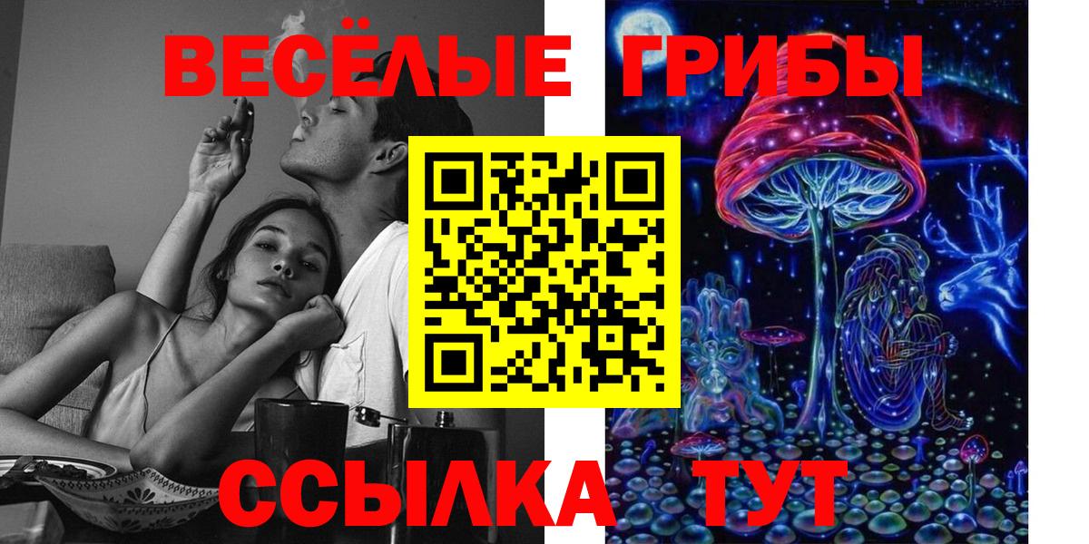 Галлюциногенные грибы MAGIC MUSHROOMS  Вход с VPN  Ливны 